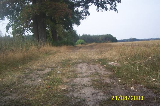 Sandpiste bei Winsen